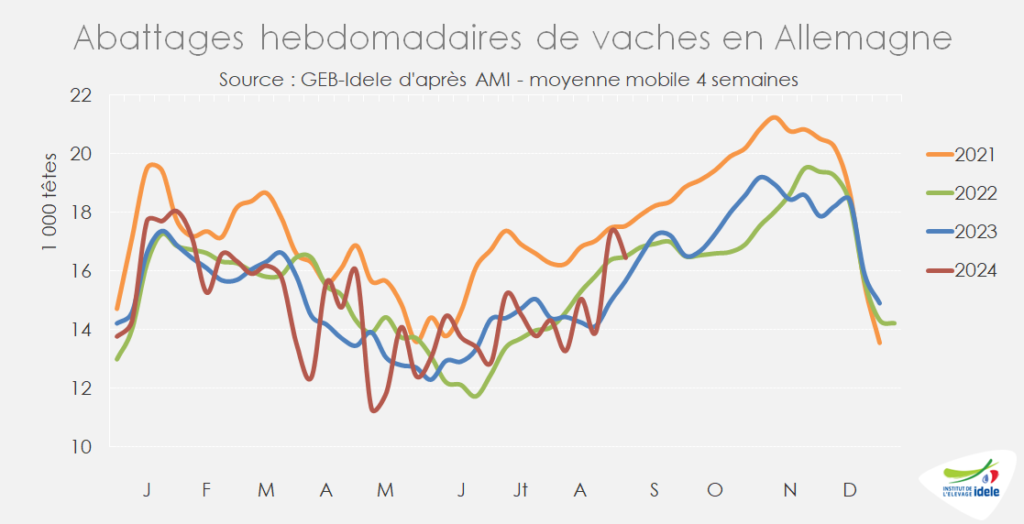 Entre-s28-et-s35-en-2024-les-abattages-de-vaches-ont-ete-equivalentes-a-l-an-passe-mais-en-retrait-de-8-pr-cent-par-rapp-a-2022