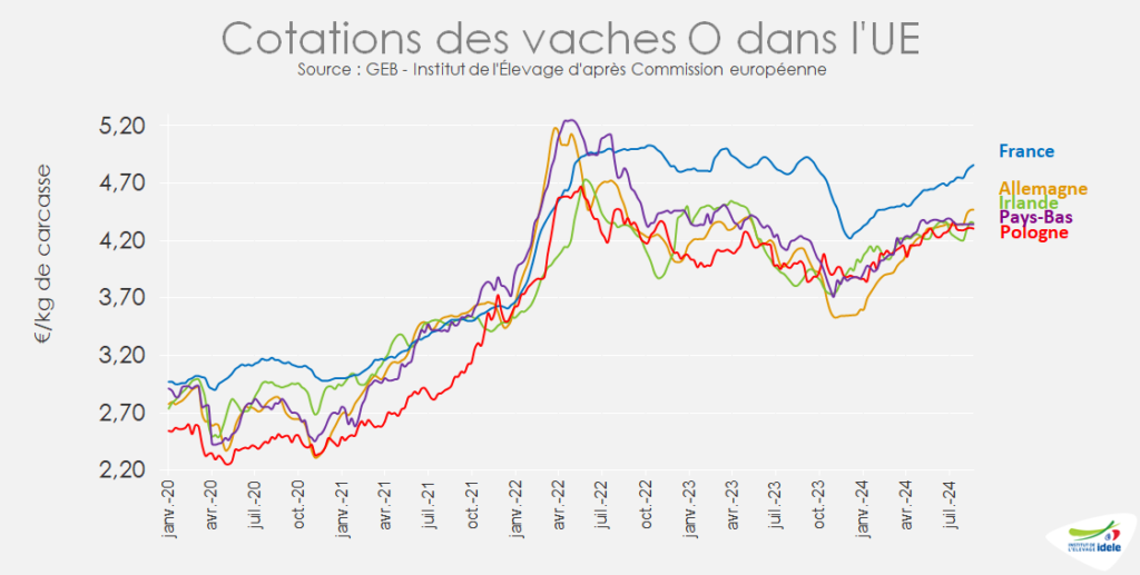 Prix-des-vaches-O-progressait-un-peu-partout-en-UE-en-s35-de-2024