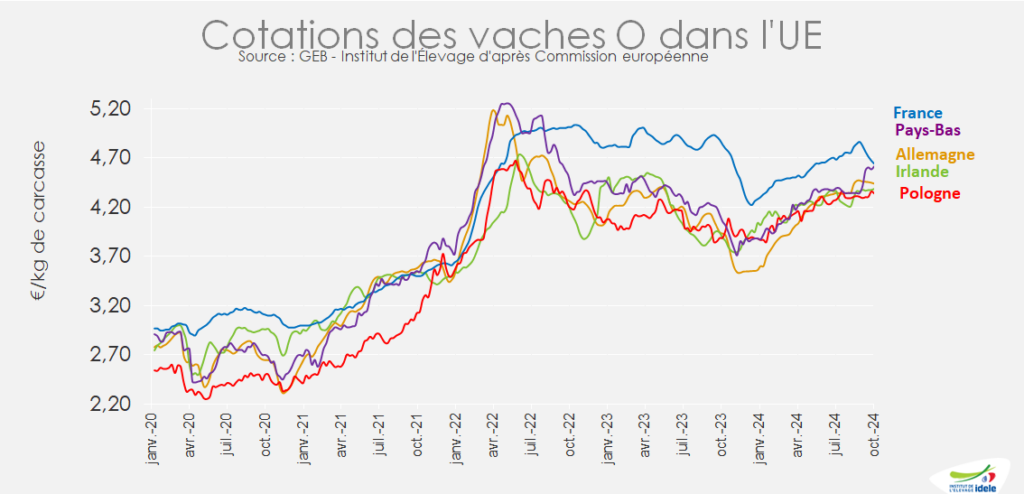 Prix-des-vaches-O-en-UE-reste-eleve-en-s40-de-2024-meme-si-le-prix-francais-recule-et-prix-neerlandais-bondit