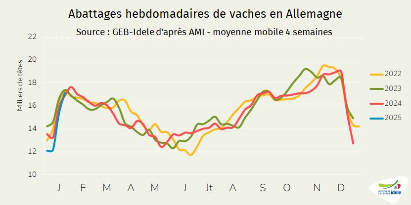 Abattages-hebdomadaires-de-vaches-en-Allemagne.