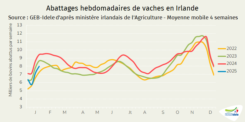 Abattages-hebdomadaires-de-vaches-en-irlande.
