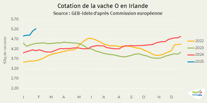 
Cotation-de-la-vache-O-en-Irlande-en-2025