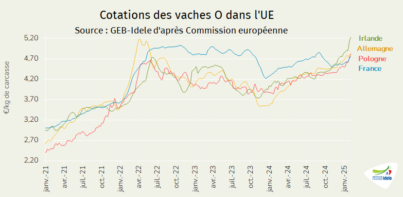 Cotations-des-vaches-O-en-UE-en-2025