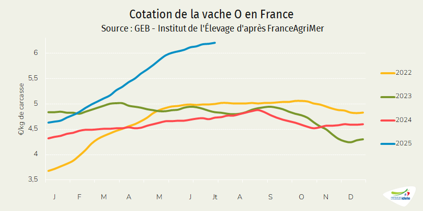 Cotation-vache-O-France-juillet-2025