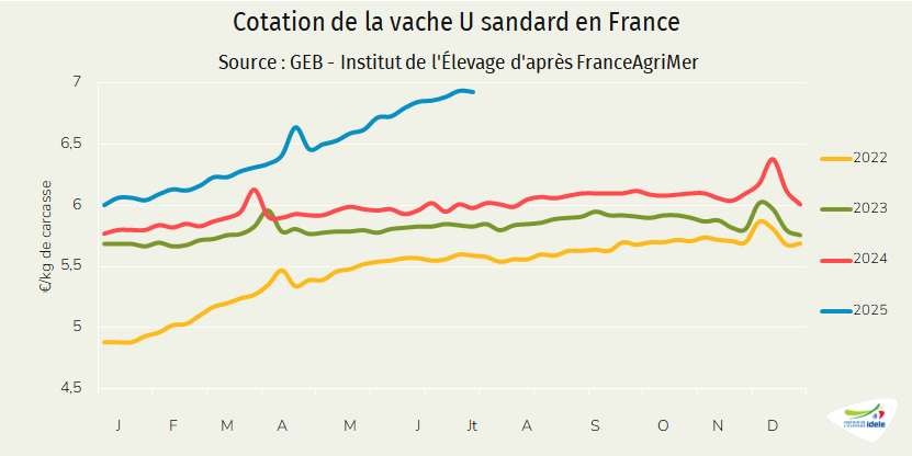 Cotation-vache-U-juillet-2025