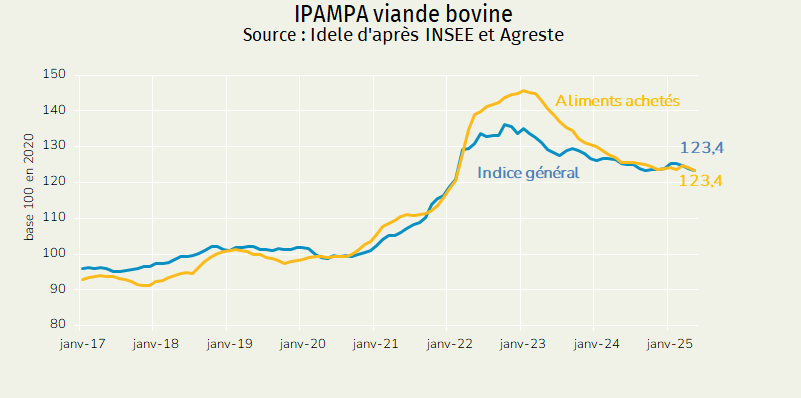 
IPAMPA-viande-bovine-France-mai-2025