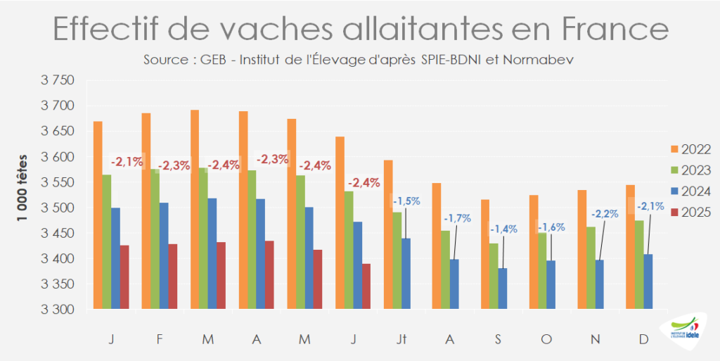 effectif-de-vaches-allaitantes-en-France-le-1er-juin-2025.
