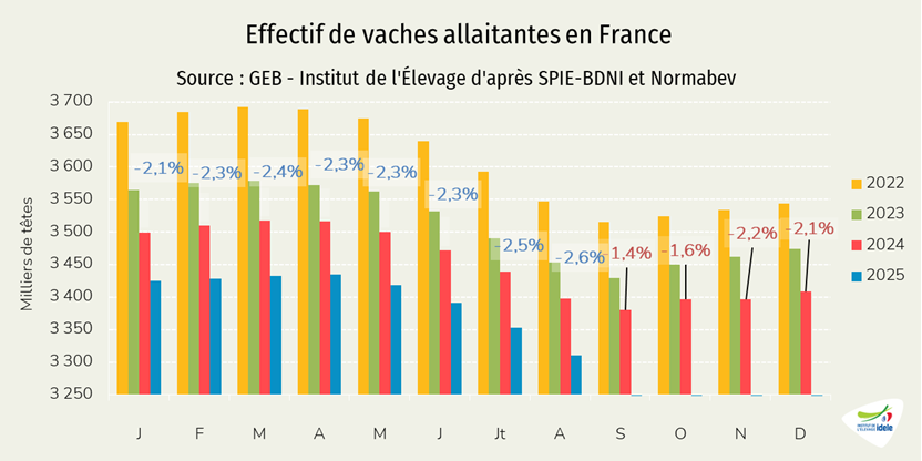 Cheptel-de-vaches-allaitantes-en-France-au-1er-aout-2025