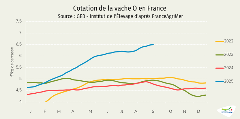 Prix-de-la-vache-O-en-France-en-semaine-37-de-2025