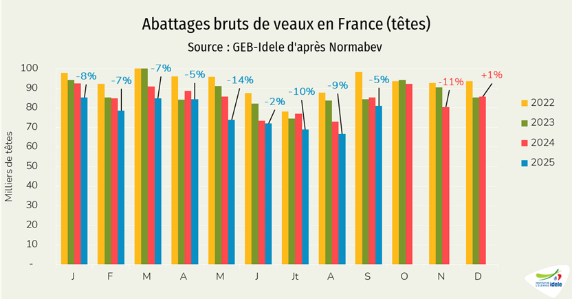 Abattages-de-veaux-gras-en-septembre-2025