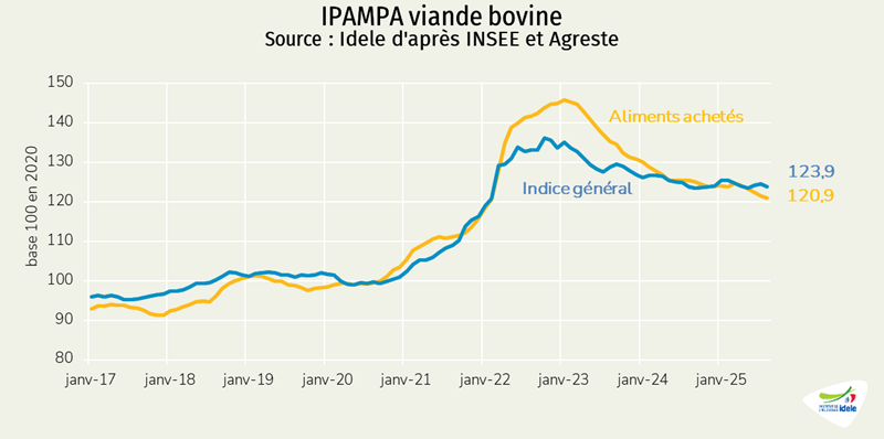 IPAMPA-viande-bovine-en-aout-2025