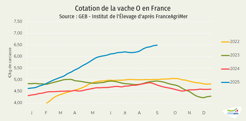 Prix-vache-O-en-France-semaine-41-en-2025.
