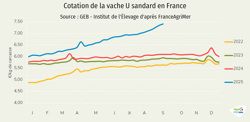 Prix-vache-U-en-France-semaine-41-en-2025