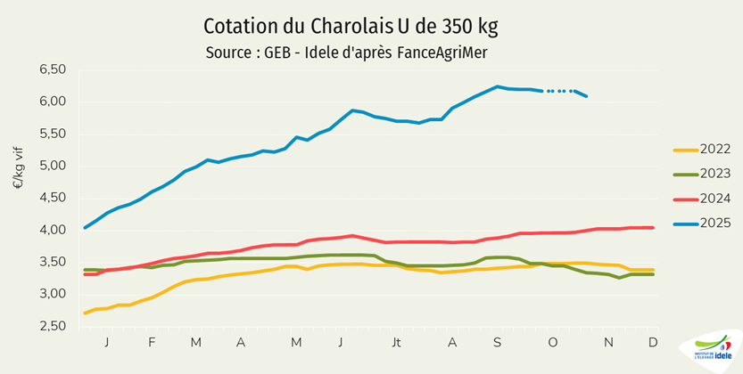 Cotation Charolais U de 350 kg