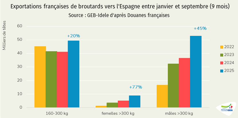 Exports de broutards vers l'Espagne