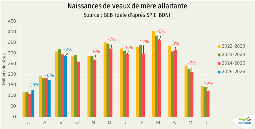 Naissances de veaux de mère allaitante