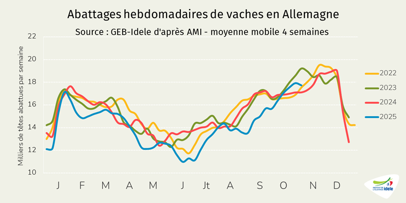 Abattages-hebdomadaires-de-vaches-en-Allemagne-semaine-45-en-2025