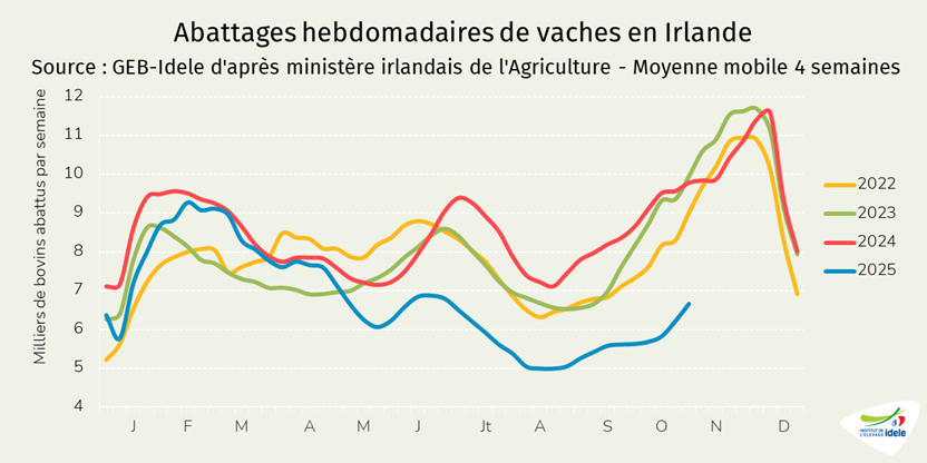 Abattages-hebdomadaires-de-vaches-en-Irlande-semaine-45-en-2025