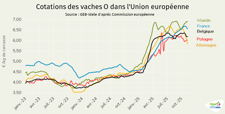 Prix-des-vaches-O-en-UE-en-semaine-45-de-2025