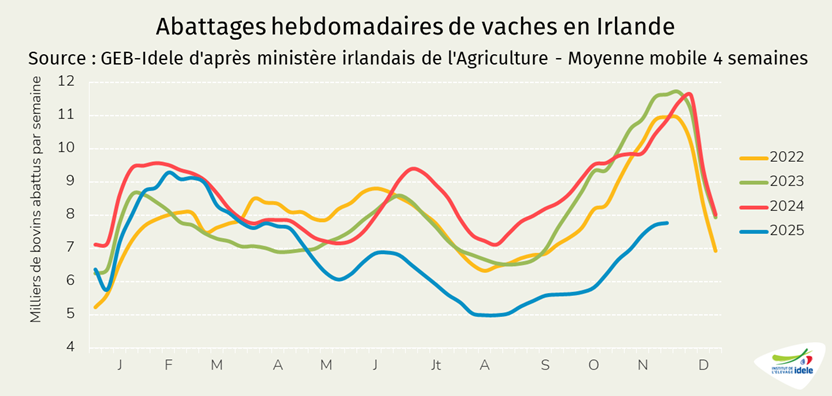 Indicateur-d-abattage-hebdomadaire-de-vaches-en-Irlande-en-semaine-49-2025