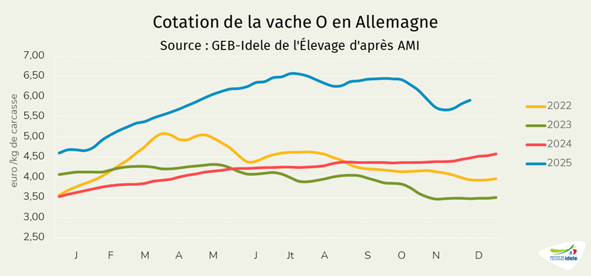 Prix-de-la-vache-O-en-Allemagne-en-semaine-49-de-2025