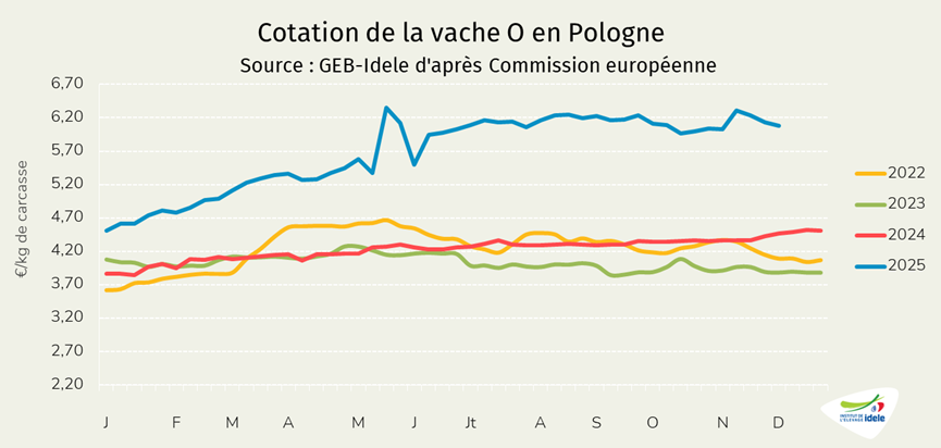 Prix-de-la-vache-O-en-Pologne-en-semaine-49-de-2025