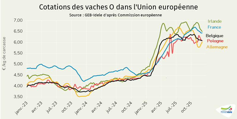 Prix-des-vaches-en-UE-en-semaine-49-de-2025.