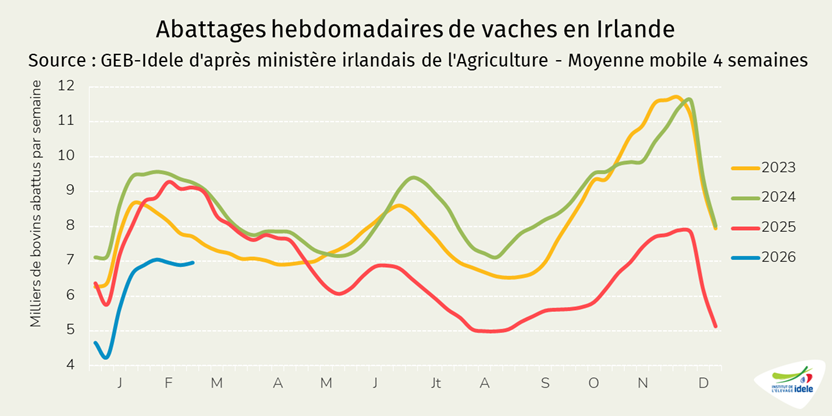 Abattages-de-vaches-en-Irlande-en-semaine-10-de-2026