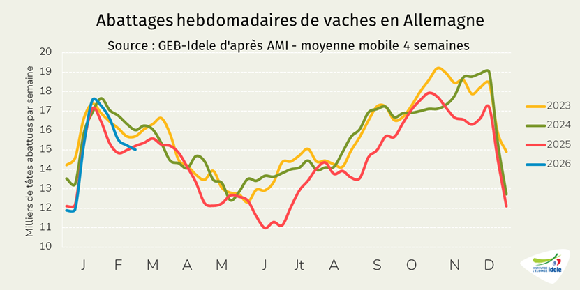 Abattages-hebdos-de-vaches-en-Allemagne-en-semaine-10-de-2026