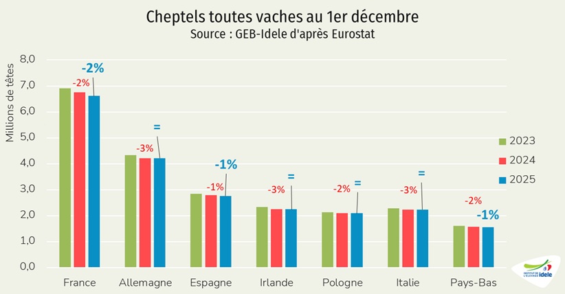 Cheptel-toutes-vaches-en-UE-1er-decembre-2025