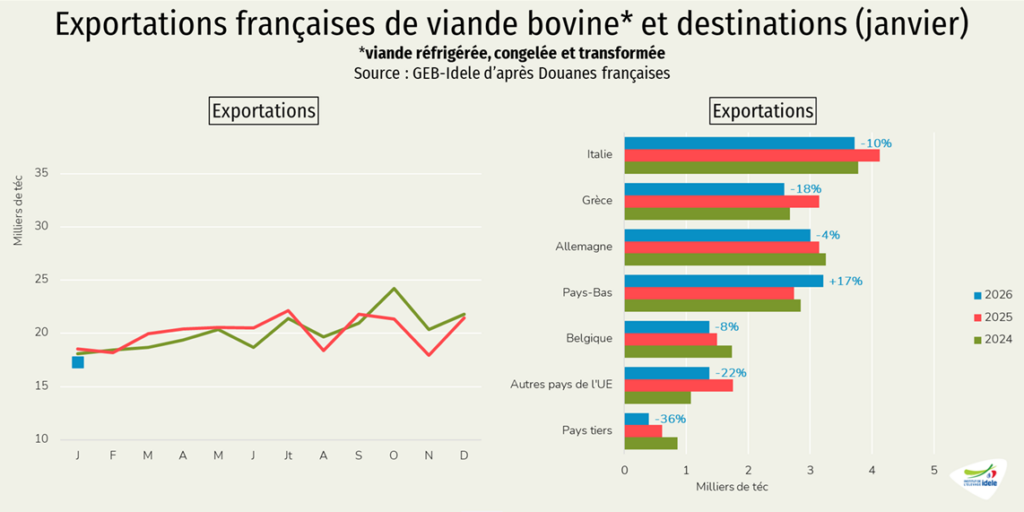 Exportations-de-viande-bovine-et-leurs-destinations-en-janv-2026
