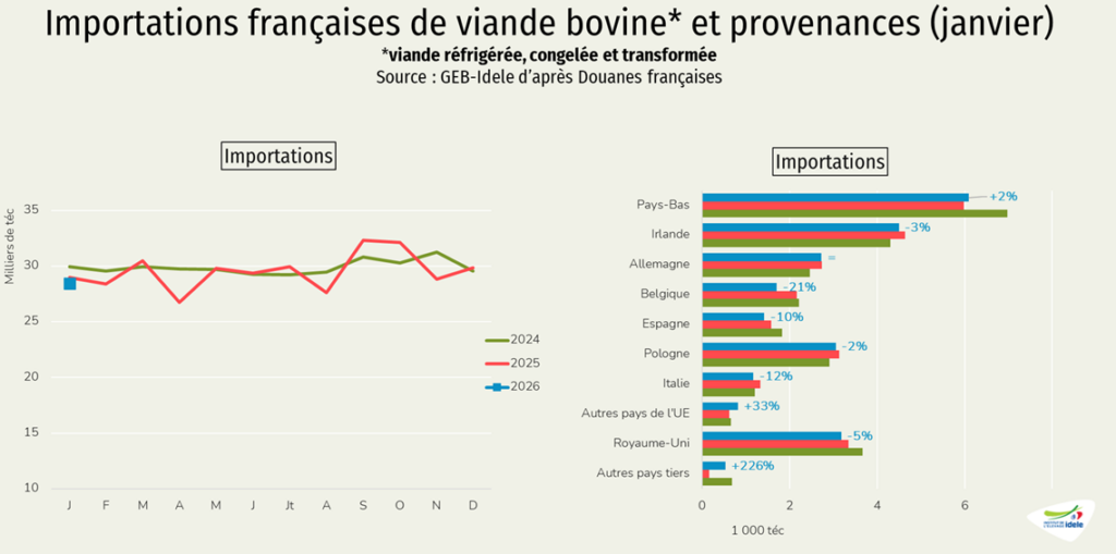 Importations-de-viande-bovine-et-provenances-en-janv-2026