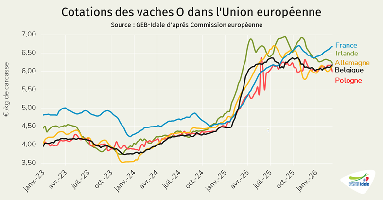 Prix-des-vaches-O-en-UE-en-semaine-10-de-2026