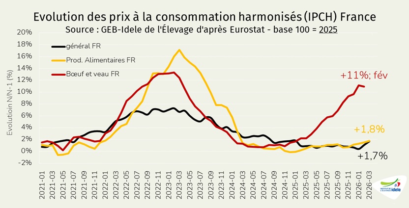
Inflation-du-boeuf-et-veau-en-fevrier-2026