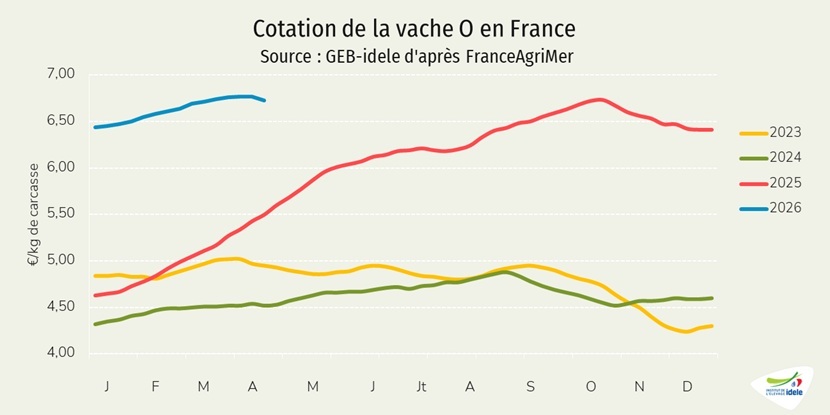 Prix-de-la-vache-O-francaise-en-semaine-15-de-2026