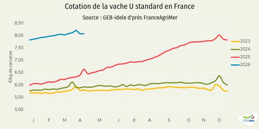 Prix-de-la-vache-U-francaise-en-semaine-15-de-2026
