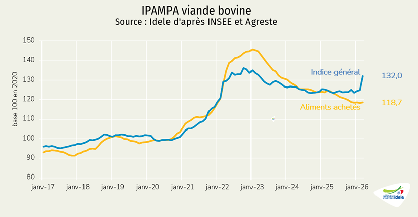 IPAMPA-viande-bovine-mars-2026