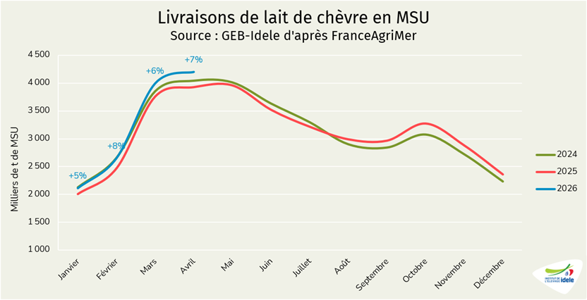 Collecte de lait de chèvre en MSU