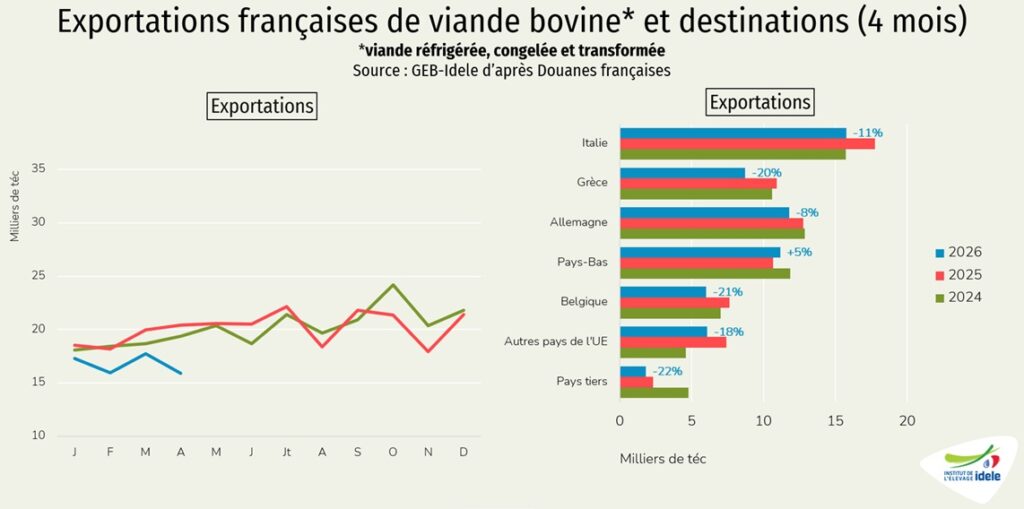 Exportations-de-viande-bovine-sur-4-mois-2026-en-France