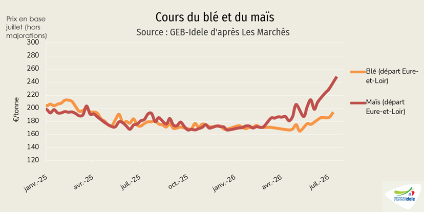 Cours du blé et de maïs départ Eure-et-Loir