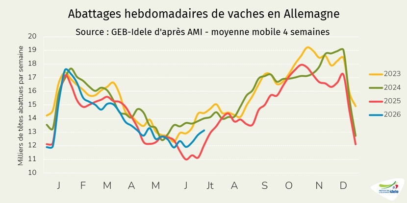 Abattages-en-moyenne-mobile-4-semaines-de-vaches-en-Allemagne