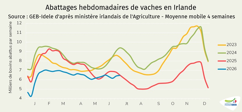 Abattages-en-moyenne-mobile-4-semaines-de-vaches-en-Irlande