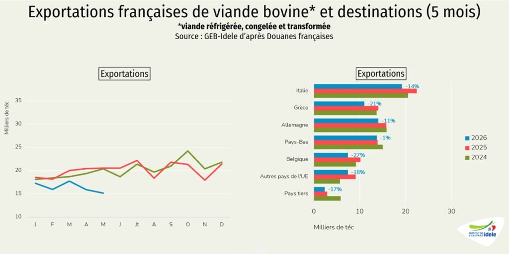 Exports-de-viande-bovine-depuis-la-France-en-5-mois-2026-et-destinations
