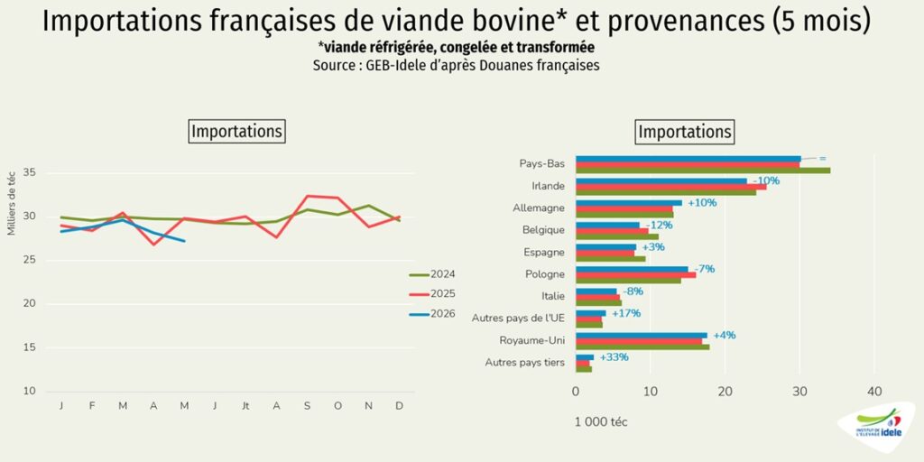 Imports-de-viande-bovine-en-France-en-5-mois-2026-et-provenances
