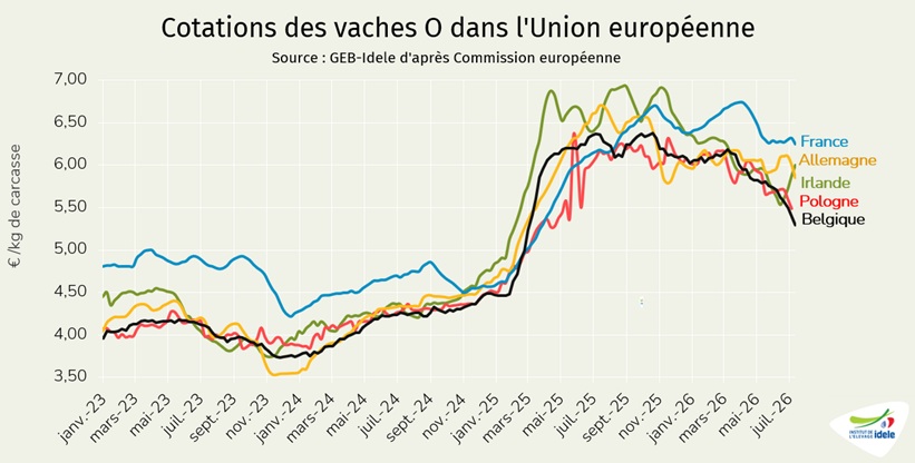 Prix-des-vaches-O-en-Union-Europeenne-en-semaine-28-de-2026