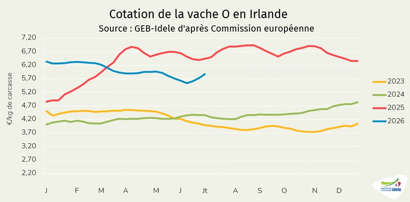 Prix-vache-O-en-Irlande