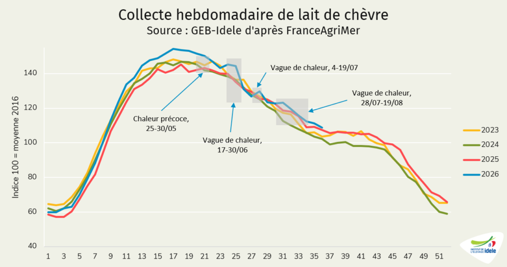 Collecte hebdomadaire de lait de chèvre