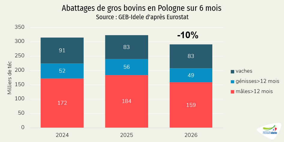 Abattages de gros bovins en Pologne sur 6 mois