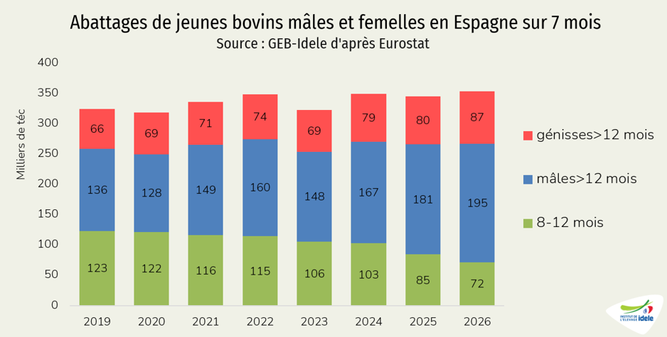 Abattages de jeunes bovins mâles et femelles en Espagne sur 7 mois