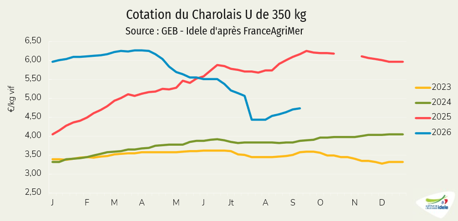 Cotation du Charolais U de 350 kg